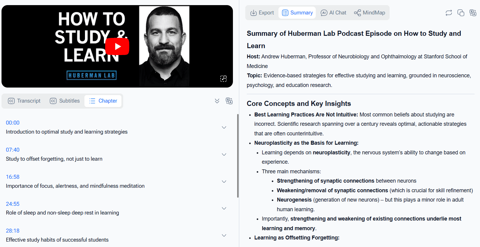 Video Transcriber AI true transcription page
